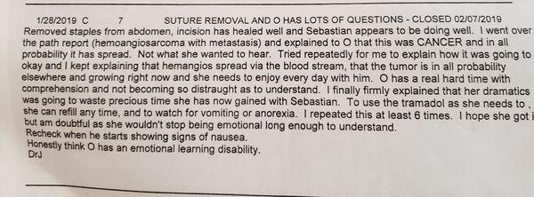 vet  diagnosis client  emotional learning disability lies    doesnt want to answer clients questions.