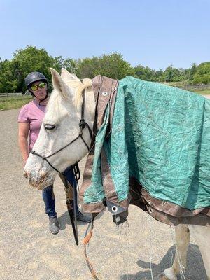 Desensitizing Mellie with a student. Horse's are afraid of tarps. Mellie did great!