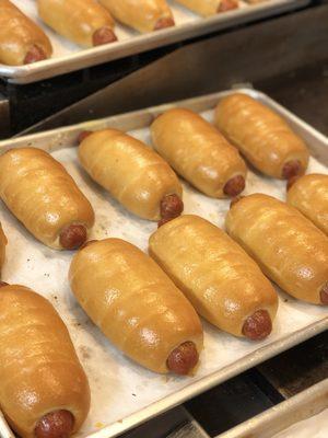 Fresh baked sausage and cheese kolaches