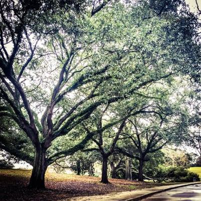 Baton Rouge city park.