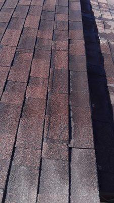 Damaged shingles.