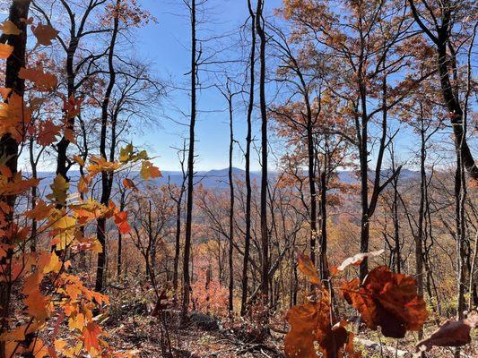 Tree colors and beautiful mountain crest views