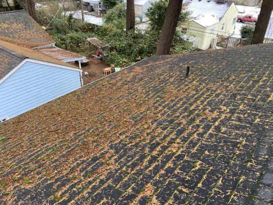 Roof Before cleaning