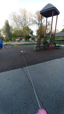 Playground, picnic pavilion, plenty of places to walk.