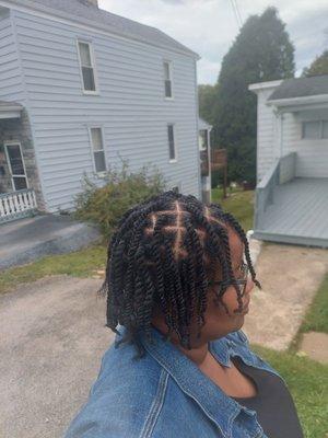 2 Strand Twist