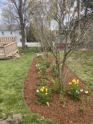 Bed reconstruction/mulch