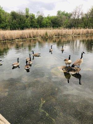 Photo from bridge with nature walk