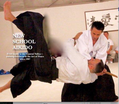 newschoolaikido.net