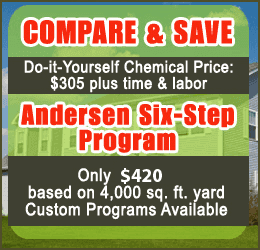 Andersen Landscape Maintenance