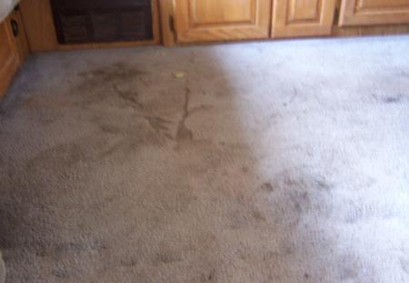 BEFORE Duff's Carpet Dry Cleaning used...