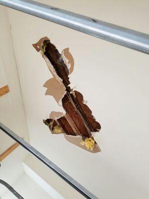 Beginning of repair to leaking pipes and damaged ceiling