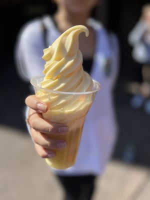 Pineapple Dole Whip. Of course! Check!!!