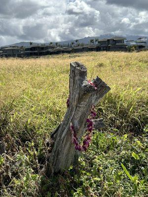 Discarded lei along the trail.