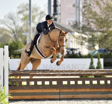 Hailstorm SAS (previous sale horse from Feelgood farm) at World equestrian Center Ocala 2024