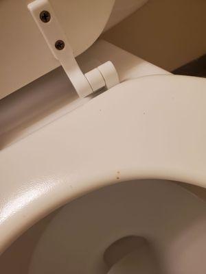 Toilet set not scrubbed