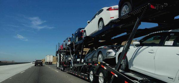 Fast Forward Car Shipping