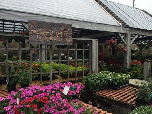 Pretty signs at Oak Street Garden Shop.