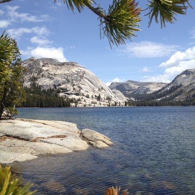 Sights you gotta see around here! Tenaya Lake. Keeping it fresh