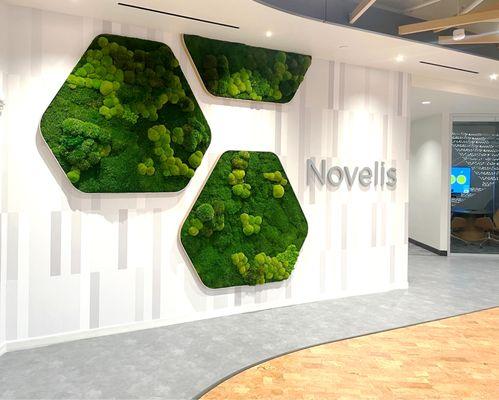 Preserved Moss Panels for Novelis