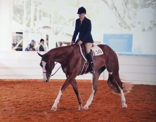 Our loyal client, Trainer Paula Canaday, showing paint gelding Jake.