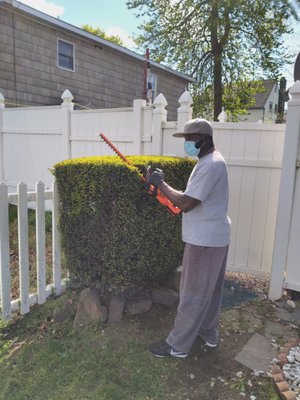 Trimming hedges!