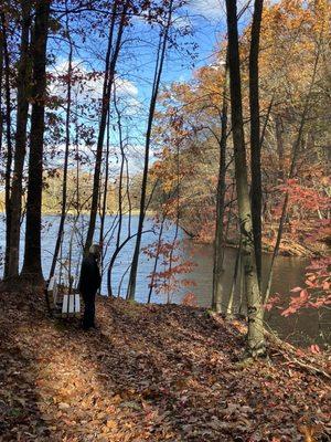 Lots of little nooks to appreciate fall color