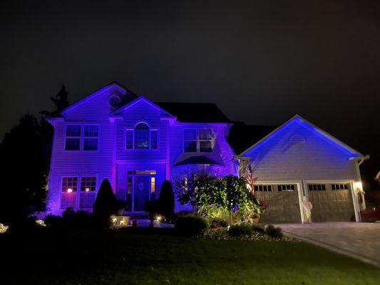 Halloween - They installed Bluetooth Alliance Outdoor Landscape Lighting