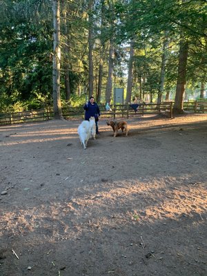 Lake Stickney Community Park