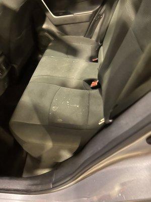 Disgusting back seat