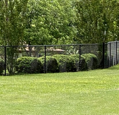 Big yard, lots of black vinyl coated chain link fence.