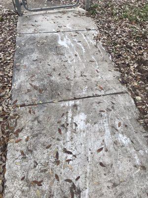 More scratches INTO sidewalk