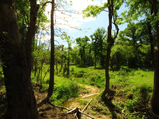 There is a neat wooded area to go get lot in within the nicely sized disc golf course.