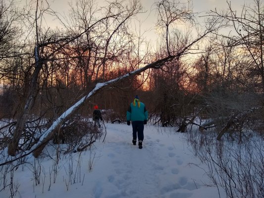 Beautiful late-afternoon winter wonderland walk, with several deer and cardinal sightings. :-D