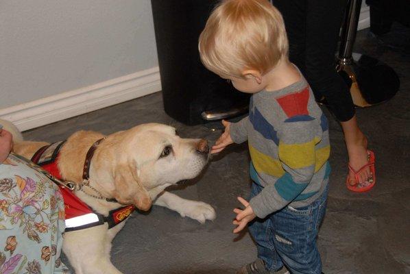 Sensory Sensitive Program with Therapy Dogs