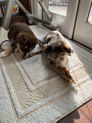 Sisters and bully braids