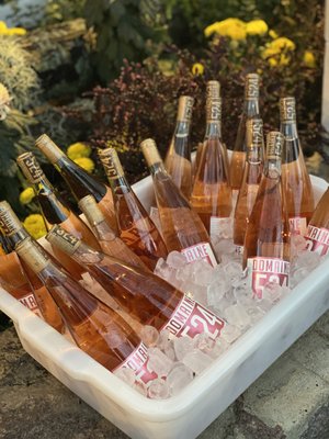 Rosé all day!