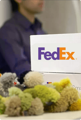 Fedex domestic and international services.