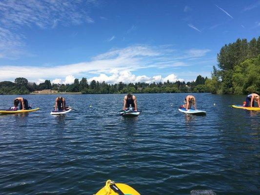 Several people practicing yoga on paddleboards on a blue sky day