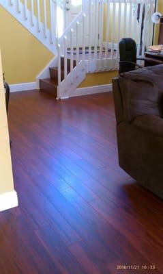 Lifetime Warranty Laminate with Lifetime underlayment