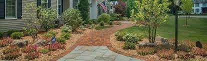 Low maintenance landscapes