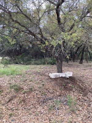 Undeveloped lot clearing for new Home construction