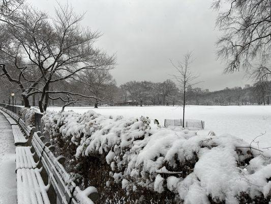 Sheep Meadow