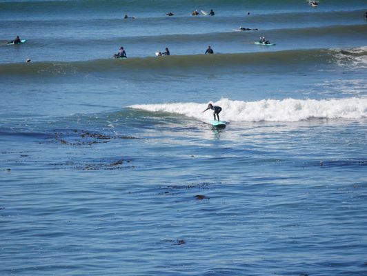 Surf School Santa Cruz