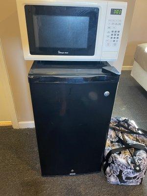 Fridge and microwave