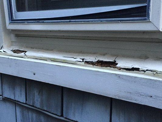 Damage to exterior windows and cracked/peeling paint (potential lead paint hazard)