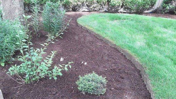 High quality mulch. Clean edging.