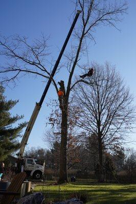 Justin Tree Services & General Construction