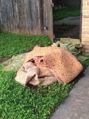 Wet carpet matting out front.