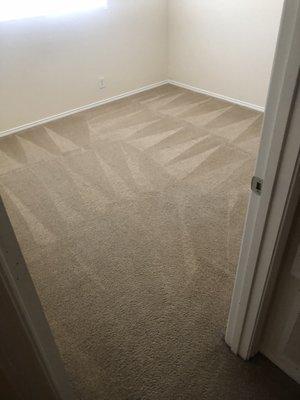 Steam cleaning carpets