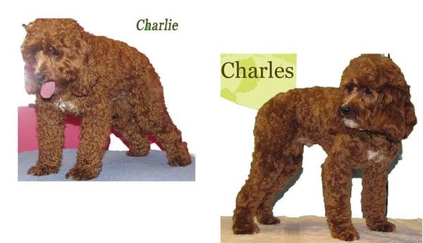 From Charlie to Charles.